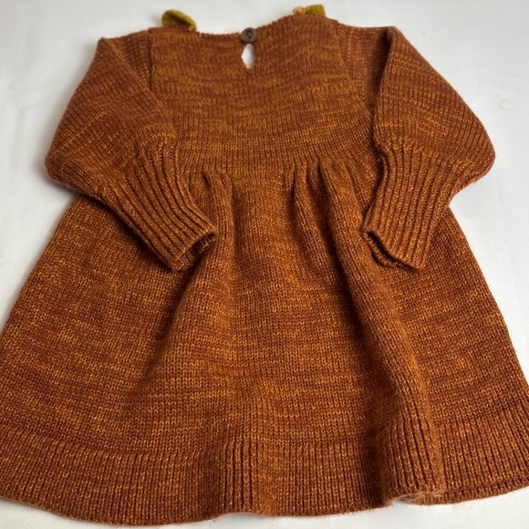 Beautiful Rust Knit Baby Dress with Ruffle Collar - Picture 4 of 7